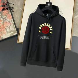 Picture of Burberry Hoodies _SKUBurberryM-3XL25tr1071724
